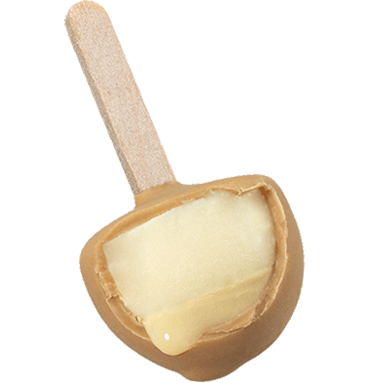 Locobó BAILEYS
