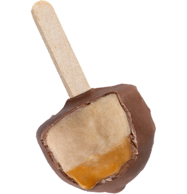 Locobó SPECULOOS