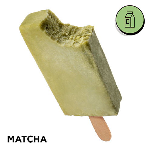 [PT00024] Polo G. MATCHA